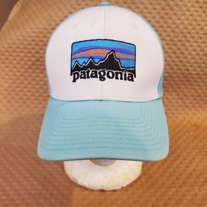 Patagonia Baseball Snapback Cap Trucker Hat Blue Adult Men